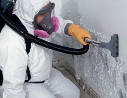  , USA Mold Remediation Pros